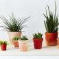 Caches Pots en laine -Terracotta L