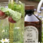 Sirop De Jasmin