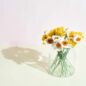 Fleur en laine Jonquille Blanche