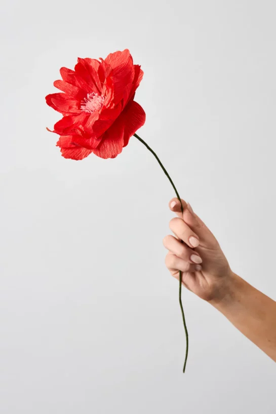 Oriental Poppy Red