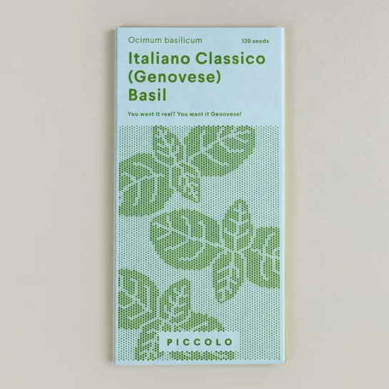 Graine Genovese Ocimum Basilicum